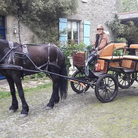 Bed & Breakfast Manoir De La Peignie Merdrignac